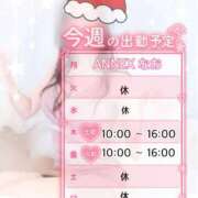 ヒメ日記 2025/12/02 12:02 投稿 なお SUZUME