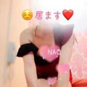 ヒメ日記 2025/12/04 11:30 投稿 なお SUZUME