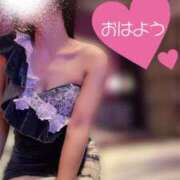 ヒメ日記 2025/12/10 09:30 投稿 なお SUZUME