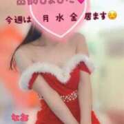 ヒメ日記 2025/12/22 09:30 投稿 なお SUZUME