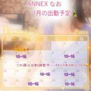 ヒメ日記 2025/12/28 12:03 投稿 なお SUZUME