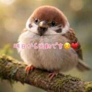 ヒメ日記 2026/01/20 12:01 投稿 なお SUZUME