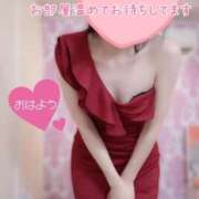 ヒメ日記 2026/02/06 09:30 投稿 なお SUZUME