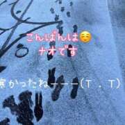 ヒメ日記 2026/02/08 22:52 投稿 なお SUZUME