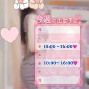 ヒメ日記 2026/02/16 12:02 投稿 なお SUZUME