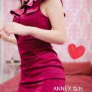 ヒメ日記 2026/02/18 09:45 投稿 なお SUZUME