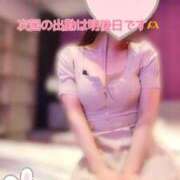 ヒメ日記 2026/02/18 22:33 投稿 なお SUZUME