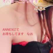 ヒメ日記 2026/02/20 09:15 投稿 なお SUZUME