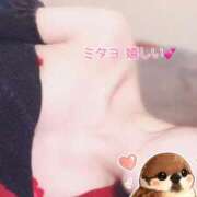 ヒメ日記 2026/02/20 12:02 投稿 なお SUZUME