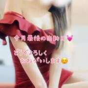 ヒメ日記 2026/02/23 09:30 投稿 なお SUZUME