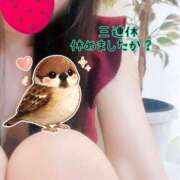 ヒメ日記 2026/02/23 12:04 投稿 なお SUZUME