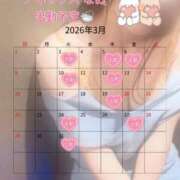 ヒメ日記 2026/03/01 11:01 投稿 なお SUZUME