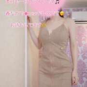 ヒメ日記 2026/03/06 09:15 投稿 なお SUZUME