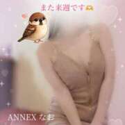 ヒメ日記 2026/03/06 19:40 投稿 なお SUZUME