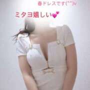 ヒメ日記 2026/03/19 12:02 投稿 なお SUZUME