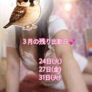 ヒメ日記 2026/03/21 17:05 投稿 なお SUZUME