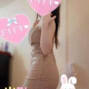 ヒメ日記 2026/03/27 09:30 投稿 なお SUZUME