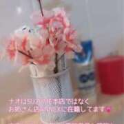 ヒメ日記 2026/04/03 11:15 投稿 なお SUZUME