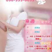 ヒメ日記 2026/04/05 12:07 投稿 なお SUZUME