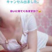 ヒメ日記 2026/04/06 17:07 投稿 なお SUZUME