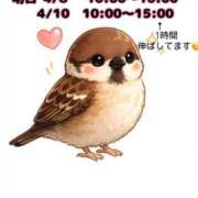 ヒメ日記 2026/04/07 20:07 投稿 なお SUZUME