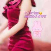 ヒメ日記 2026/04/15 15:50 投稿 なお SUZUME