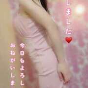 ヒメ日記 2026/04/17 09:30 投稿 なお SUZUME