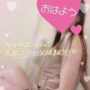 ヒメ日記 2026/04/21 09:15 投稿 なお SUZUME