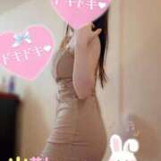 ヒメ日記 2026/04/24 09:30 投稿 なお SUZUME