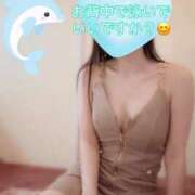 ヒメ日記 2026/04/24 12:01 投稿 なお SUZUME