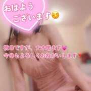 ヒメ日記 2026/04/29 09:01 投稿 なお SUZUME