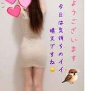 ヒメ日記 2026/05/04 09:15 投稿 なお SUZUME