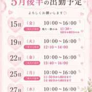 ヒメ日記 2026/05/08 23:09 投稿 なお SUZUME