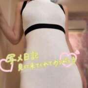 ヒメ日記 2026/07/28 09:30 投稿 なお SUZUME