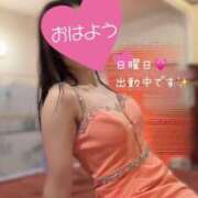 ヒメ日記 2026/09/06 09:00 投稿 なお SUZUME