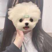 ヒメ日記 2025/08/07 08:33 投稿 もあ★現役メイドにラブ注入★ Chloe鶯谷・上野店 S級素人清楚系デリヘル