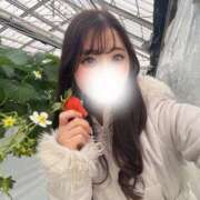 ヒメ日記 2026/02/12 18:00 投稿 あゆ Ace(エース)