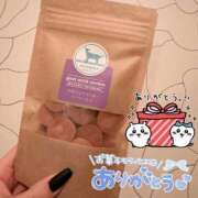 ヒメ日記 2025/03/19 18:49 投稿 りさ アネックスジャパン