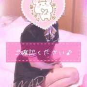 ヒメ日記 2025/02/19 23:54 投稿 ひかり 仙南 愛ランド（白石、柴田、岩沼、名取）