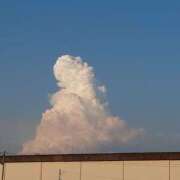 ヒメ日記 2025/03/04 20:33 投稿 樹里 モアグループ所沢人妻城