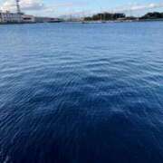 ヒメ日記 2025/04/02 16:57 投稿 樹里 モアグループ所沢人妻城