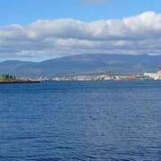 ヒメ日記 2026/04/12 16:51 投稿 樹里 モアグループ所沢人妻城