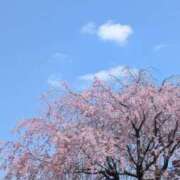 ヒメ日記 2025/04/17 16:52 投稿 せり 人妻小旅行