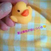ヒメ日記 2026/07/01 08:05 投稿 せり 人妻小旅行