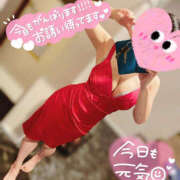 ヒメ日記 2025/04/14 06:45 投稿 はる ビギナーズ神戸