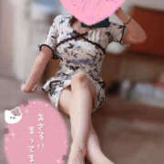 ヒメ日記 2025/06/24 06:14 投稿 はる ビギナーズ神戸