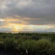 ヒメ日記 2025/08/12 17:21 投稿 はる ビギナーズ神戸