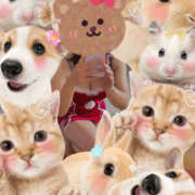 ヒメ日記 2025/12/31 06:31 投稿 はる ビギナーズ神戸