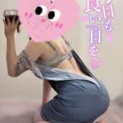 ヒメ日記 2026/03/31 19:07 投稿 はる ビギナーズ神戸