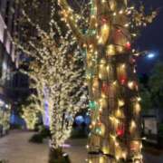 ヒメ日記 2024/12/13 23:09 投稿 白石あすか セクシーキャット 神田店